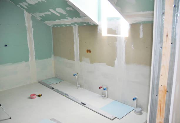 Best Biohazard Mold Removal  in Lindenwold, NJ