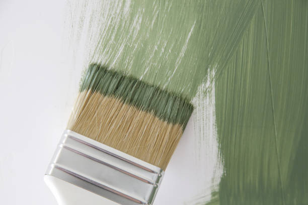 Best Emergency Mold Remediation  in Lindenwold, NJ