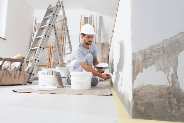 Best Mold Damage Restoration  in Lindenwold, NJ