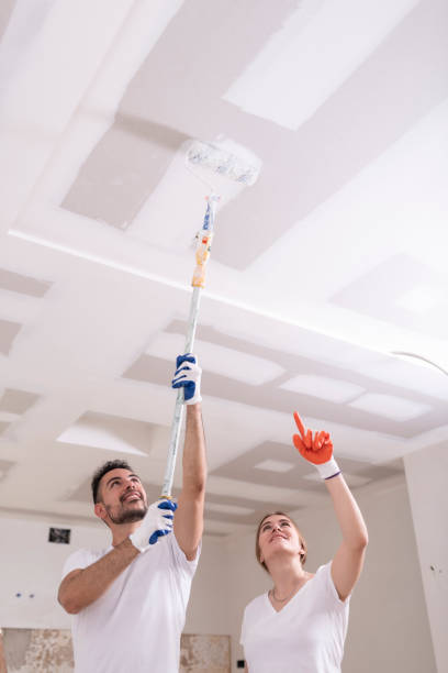 Best Attic Mold Removal  in Lindenwold, NJ