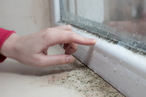 Best Air Quality Testing for Mold Spores  in Lindenwold, NJ