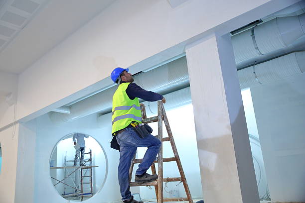 Best Mold Prevention Services  in Lindenwold, NJ