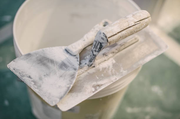 Best Mold Documentation for Insurance Claims  in Lindenwold, NJ